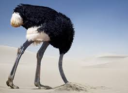 страус в песке
